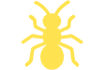 Ant