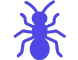 Ant