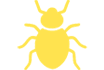 CBed Bug
