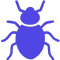 Bed Bug