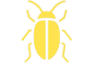 Cockroach