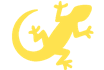 Lizard