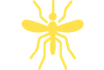 Mosquito