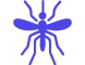 Mosquito