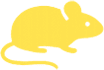 Rodent