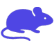 Rodent