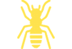 Termite